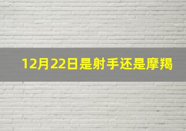 12月22日是射手还是摩羯