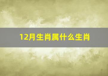 12月生肖属什么生肖