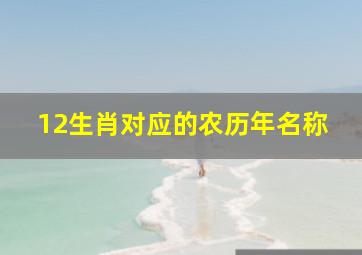 12生肖对应的农历年名称