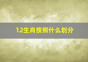 12生肖按照什么划分