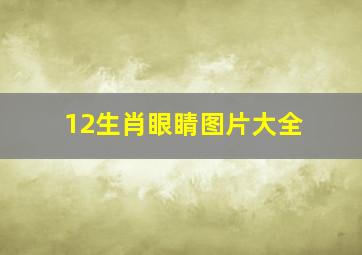 12生肖眼睛图片大全