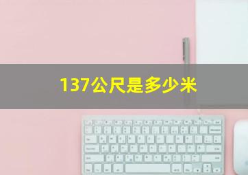 137公尺是多少米