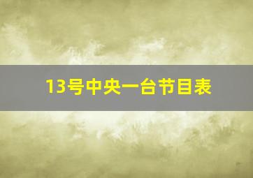 13号中央一台节目表