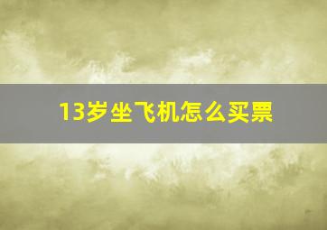 13岁坐飞机怎么买票