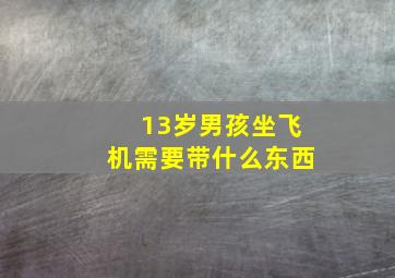 13岁男孩坐飞机需要带什么东西