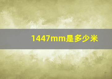 1447mm是多少米