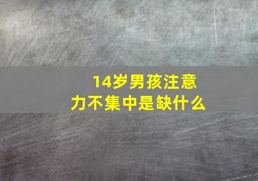 14岁男孩注意力不集中是缺什么