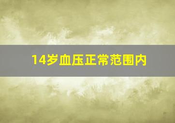 14岁血压正常范围内