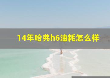 14年哈弗h6油耗怎么样