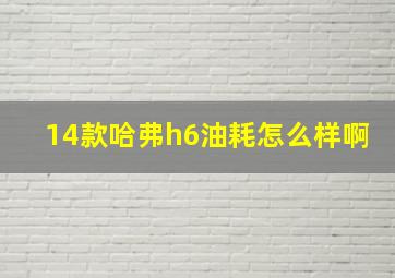 14款哈弗h6油耗怎么样啊