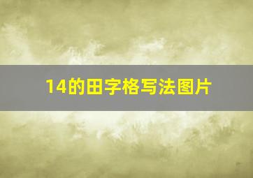 14的田字格写法图片