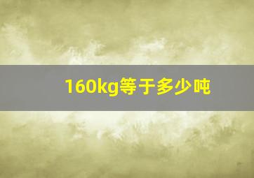 160kg等于多少吨