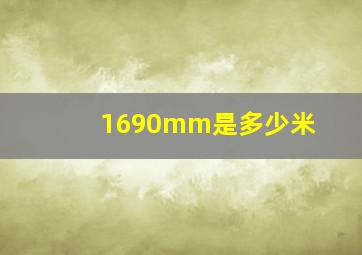 1690mm是多少米