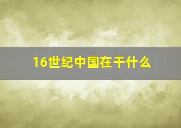 16世纪中国在干什么