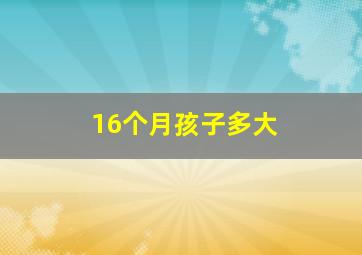 16个月孩子多大