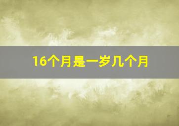 16个月是一岁几个月