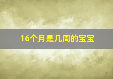 16个月是几周的宝宝