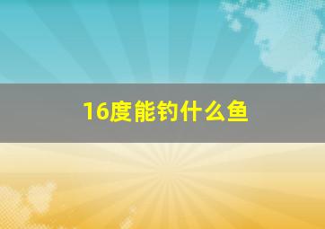 16度能钓什么鱼