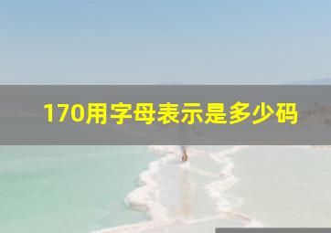 170用字母表示是多少码