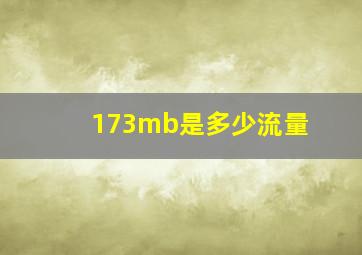 173mb是多少流量