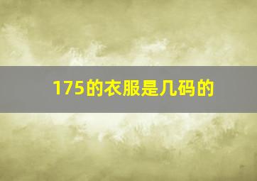 175的衣服是几码的