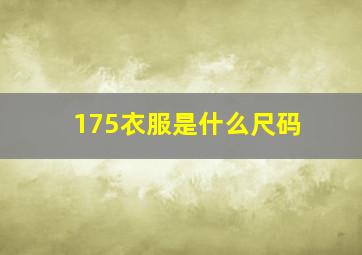 175衣服是什么尺码