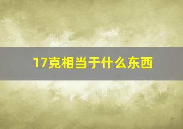 17克相当于什么东西