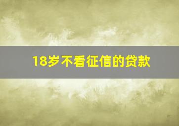 18岁不看征信的贷款