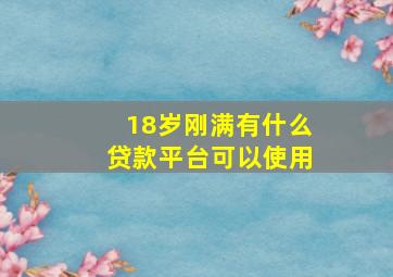 18岁刚满有什么贷款平台可以使用