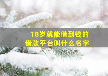 18岁就能借到钱的借款平台叫什么名字