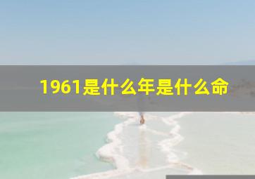 1961是什么年是什么命