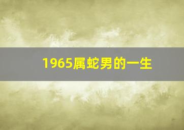 1965属蛇男的一生