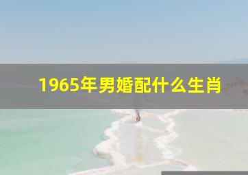 1965年男婚配什么生肖