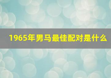 1965年男马最佳配对是什么