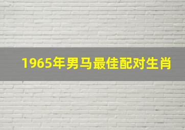 1965年男马最佳配对生肖