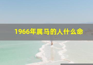 1966年属马的人什么命