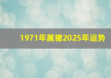 1971年属猪2025年运势