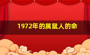 1972年的属鼠人的命