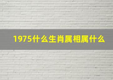 1975什么生肖属相属什么