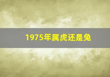 1975年属虎还是兔