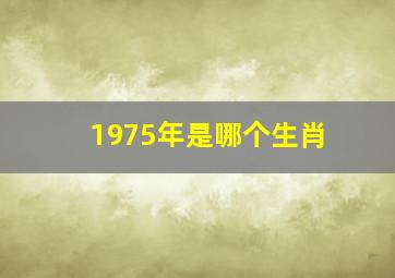 1975年是哪个生肖