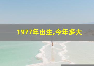 1977年出生,今年多大