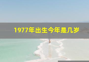 1977年出生今年是几岁