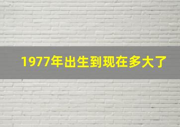 1977年出生到现在多大了