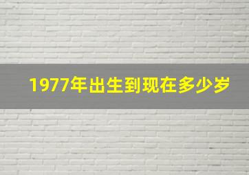 1977年出生到现在多少岁