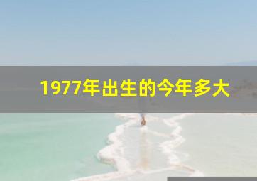 1977年出生的今年多大