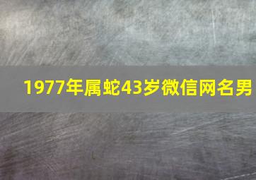 1977年属蛇43岁微信网名男