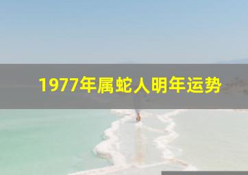 1977年属蛇人明年运势