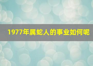 1977年属蛇人的事业如何呢