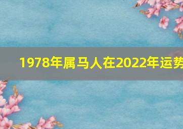 1978年属马人在2022年运势